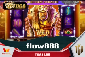 flow888