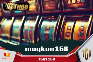 mogkon168