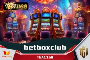 betboxclub