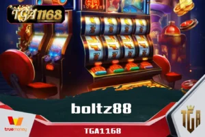 boltz88
