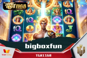 bigboxfun